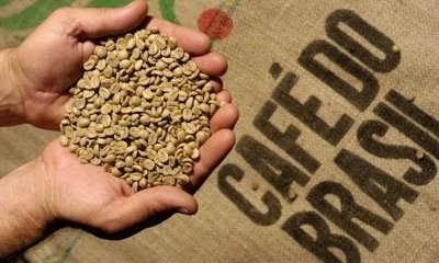 Brazil nâng ước tính sản lượng cà phê niên vụ 2014-2015 lên 45,14 triệu bao