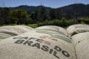 Brasil hoãn đấu giá cà phê của Chính phủ