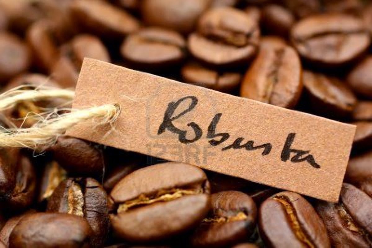 Điểm tham chiếu cà phê robusta