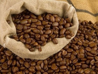 Giá cà phê trong nước ngày 15/05/2015 tăng trở lại 500 ngàn đồng/ tấn