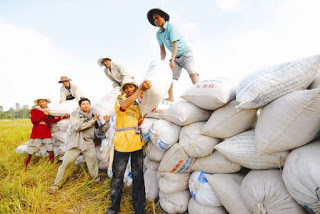 Thương mại nông sản trong nội khối TPP - Việt Nam đang bị thâm hụt
