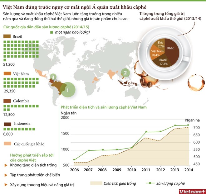 Việt Nam có thể mất ngôi á quân xuất khẩu cà phê