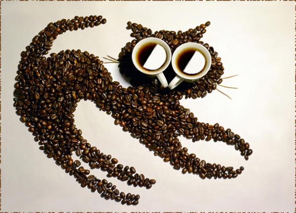 Hình ảnh ấn tượng từ những hạt cà phê